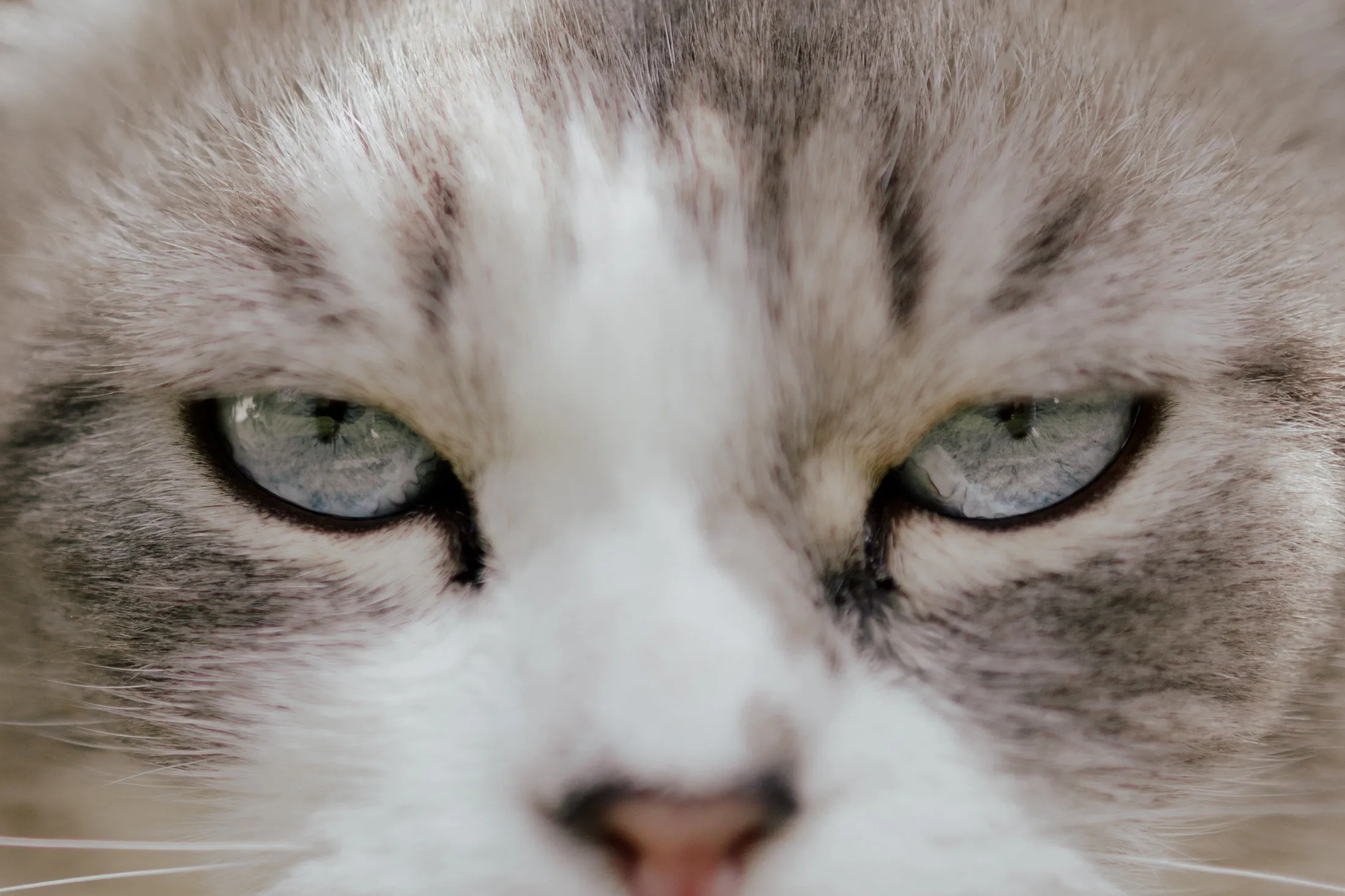 photo-chat-17 portrait chat